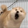 Bailey Hooper - @user2506173300275 - TikTok