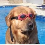 Bailey Hooper - @_funny_clips_yeet - Instagram