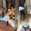 Bailey Horton - @bailey.horton5 - TikTok