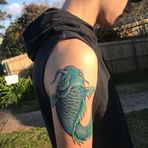 Bailey Horton - Facebook
