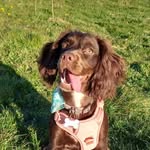 Bailey Horton-Croft - @baileyhortoncroft - Instagram