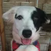 baileyhouse - @baileyhouse00 - TikTok
