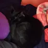 baileyhufford - @baileyhufford - TikTok