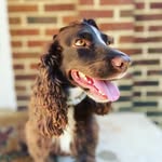 bailey - @bailey_huffman_ - Instagram
