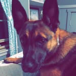 Bailey Huffman - @baileyhuffman6 - Instagram