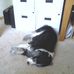 Bailey Hummel - Facebook