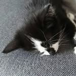 Bailey.hummel - @bailey.072 - Instagram