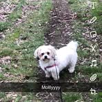 Bailey Humphries - Facebook