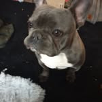 Bailey Humphries - @bailey.humphries.52 - Instagram
