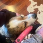 Bailey Kay Hutson - Facebook