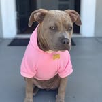 🐾Bailey Ibarra🐾 - @bailey_the_bull13 - Instagram