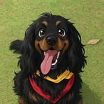 Bailey | Cocker Spaniel Ingles - @cocker.baileycr - Instagram