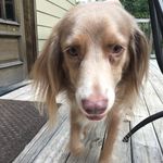 Bailey - @bailey_ingram_ - Instagram