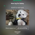 Bailey Irwin - @bailey.irwin.37 - Instagram