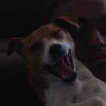 Bailey - @baileyisom - Instagram