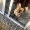Bailey Jefferson - @bailey.jefferson0 - TikTok