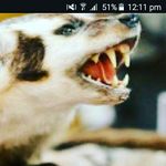 Bailey Jeffries - @badjer502 - Instagram
