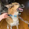 baileyj - @bailey.jeffries - TikTok