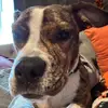 Bailey boo - @baileyjenkins1313 - TikTok