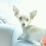 Bailey - @bailey_jimenez0 - Instagram