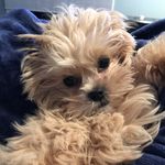 Bailey Jimenez - @theadventuresofbailey23 - Instagram