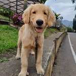 Mauricio Jimenez - @don_bailey_jimenez - Instagram