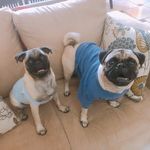 Thor & bailey - @thorbaileyjimenez - Instagram