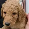 Bailey_Joy - @bailey_joy - TikTok