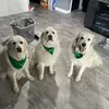 bailey joy - @bailey.joy1821 - TikTok