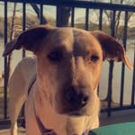 Bailey Joy H. - @baileythemutt11 - Instagram