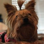 Bailey Justice - @bailey_bailey_bailey06 - Instagram