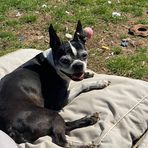 Bailey Justice - Facebook