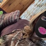 Bailey keefer - @baileykeefer7 - Instagram