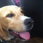 Bailey Kelley - @_bailey.boy_ - Instagram
