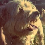 Bailey Kelley - @baileys_photography - Instagram