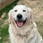 Bailey Kemp - @baileykemp10 - Instagram
