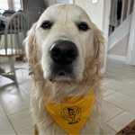 Bailey Kemp - @baileykemp34 - Instagram