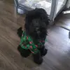 Baylee Kennon - @bayleekennon - TikTok