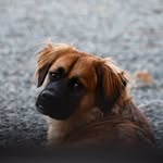 Bailey Kenny - @liz.kenny.355 - Instagram