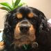 Bailey Kimpton - Facebook