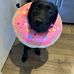 Bailey Kimpton - Facebook
