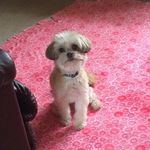 Bailey Kline - @kline_bailey - Instagram