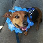 Bailey Kline - Facebook