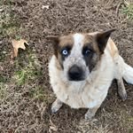 @baytoven_bailey_koenig - Instagram