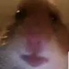 Bai2008 - @baileykong2008 - TikTok
