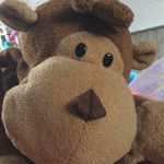 Bailey Kunz - @unicornmonkeyboo - Instagram