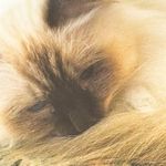 Bailey noah laing - @241bayiscool - Instagram