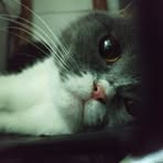 Bailey Lam - Facebook