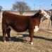 Bailey Landrum - Facebook