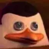 bailey larson - @user20202023333 - TikTok